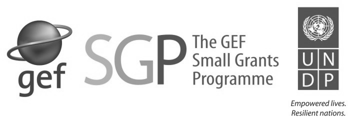 Logo 6
